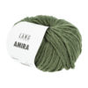 0117 Fern