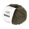 0098 Olive Dunkel