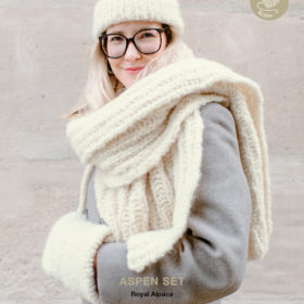 Anleitung Aspen Set