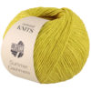0016 Limette