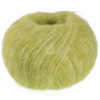 0031 Limette