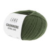 0098 Olive Dunkel