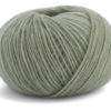 0064 Salbei