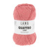 0028 Lachs