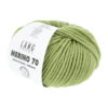 0044 Lime