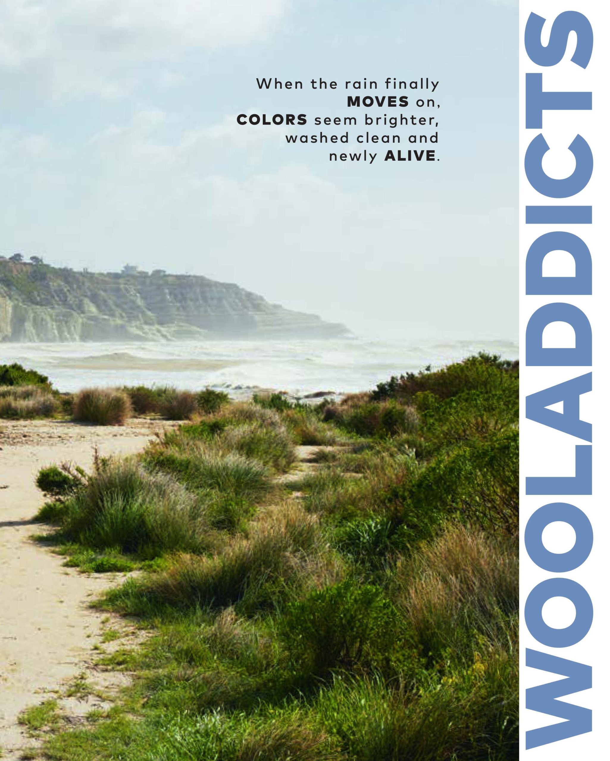 Wooladdicts 17 75 Wooladdicts 17 – Bild 75